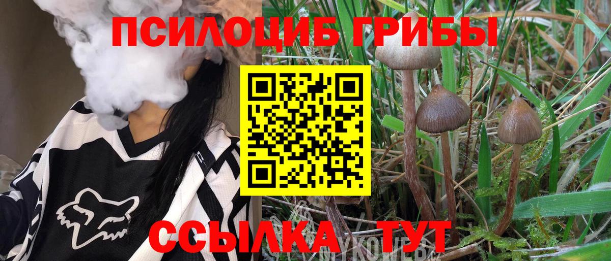 купить закладку  Галлюциногенные грибы GOLDEN TEACHER  Вход с VPN  Дедовск  Галлюциногенные грибы мицелий 